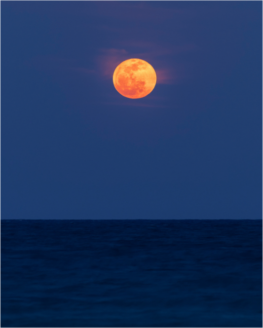 Orange Moon on Acrylic Glass
