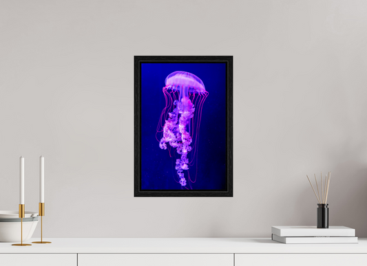 10 x 15″, Floater Frame Electric Dreams – Fine Art Jellyfish Photography Print