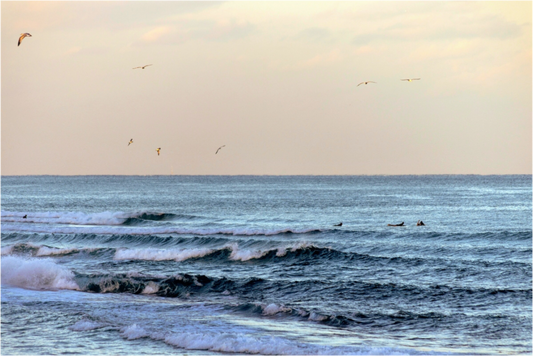 Florida - Not your traditional Palm Beach