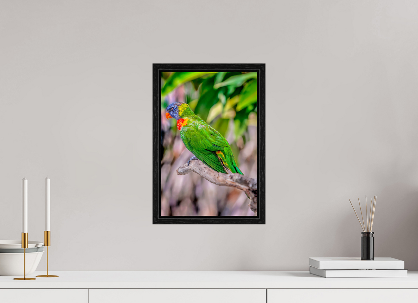 10 x 15″, Floater Frame Rainbow Lorikeet on Branch – Vibrant Tropical Bird Fine Art Photography Print