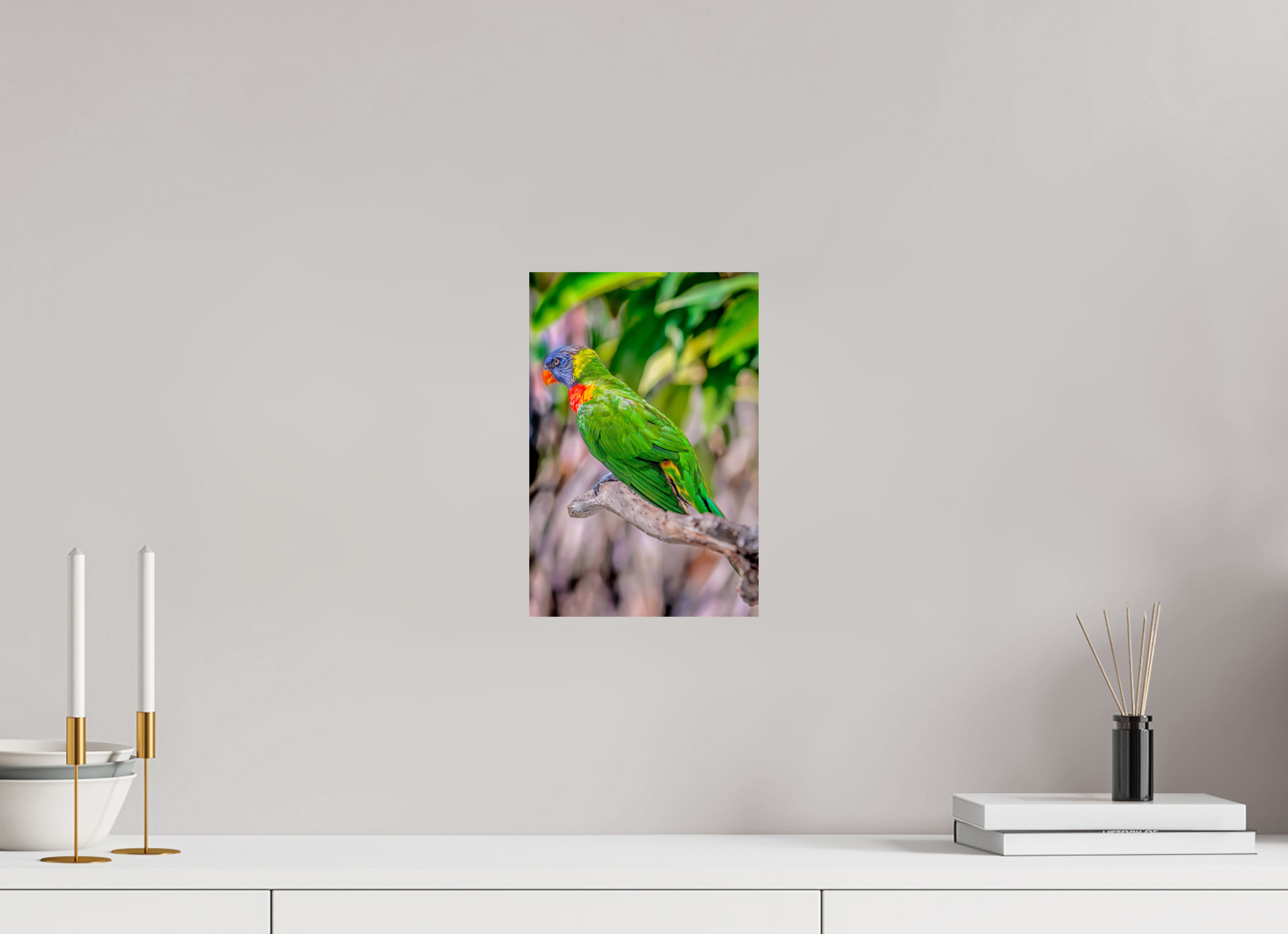 8 x 12″, Photo Print On Fuji Crystal DP II Rainbow Lorikeet on Branch – Vibrant Tropical Bird Fine Art Photography Print