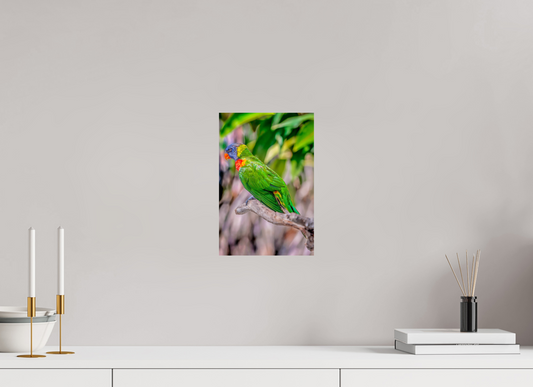 8 x 12″, Photo Print On Fuji Crystal DP II Rainbow Lorikeet on Branch – Vibrant Tropical Bird Fine Art Photography Print