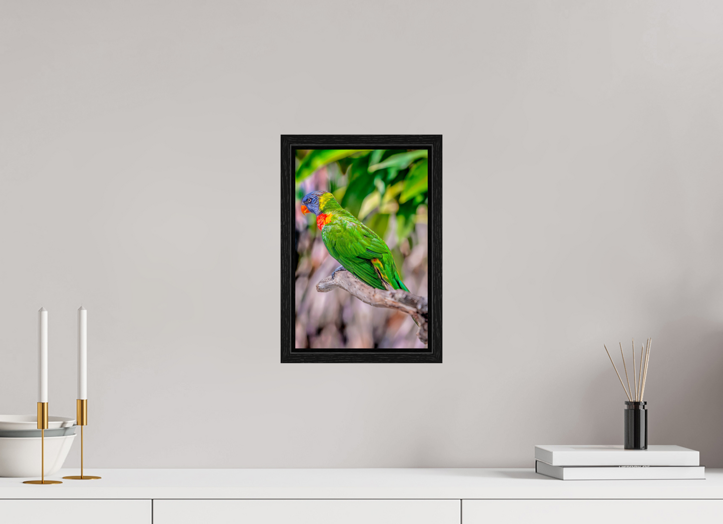 8 x 12″, Floater Frame Rainbow Lorikeet on Branch – Vibrant Tropical Bird Fine Art Photography Print